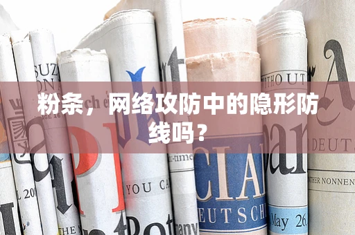 粉条，网络攻防中的隐形防线吗？