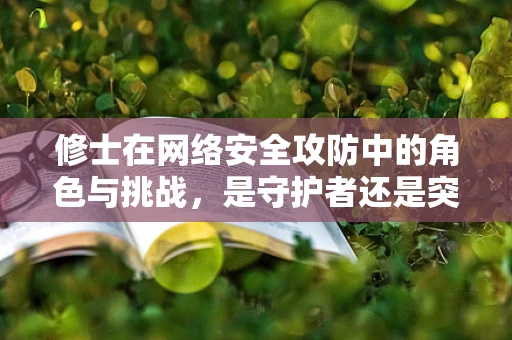 修士在网络安全攻防中的角色与挑战，是守护者还是突破者？