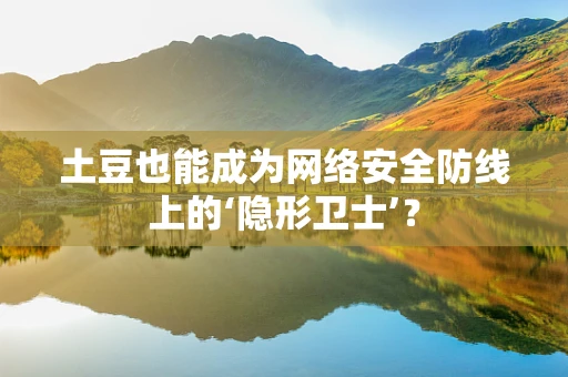 土豆也能成为网络安全防线上的‘隐形卫士’？