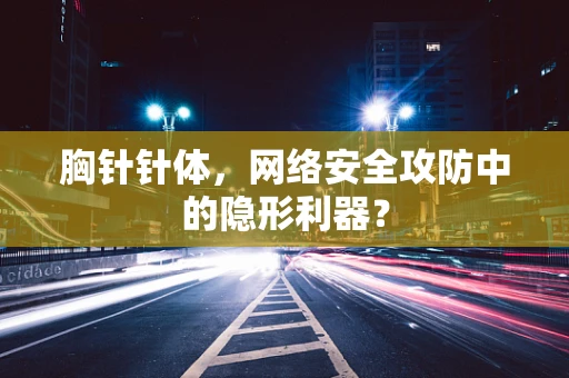 胸针针体，网络安全攻防中的隐形利器？