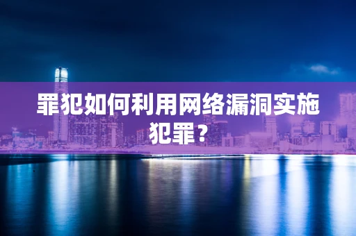 罪犯如何利用网络漏洞实施犯罪？
