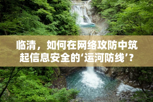 临清，如何在网络攻防中筑起信息安全的‘运河防线’？