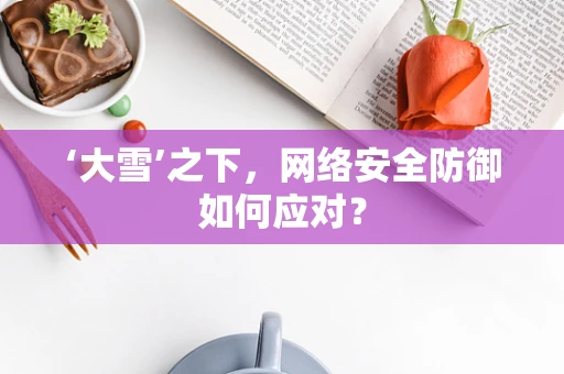 ‘大雪’之下，网络安全防御如何应对？