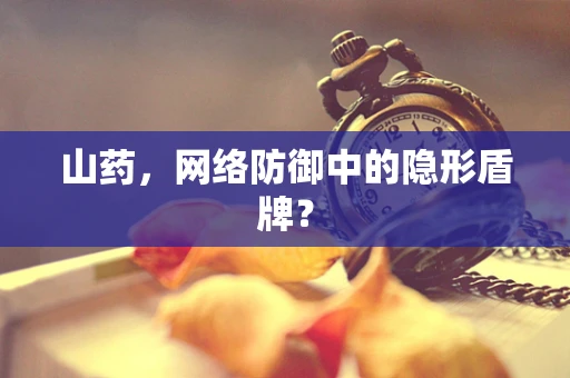 山药，网络防御中的隐形盾牌？