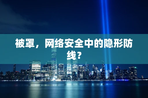 被罩，网络安全中的隐形防线？