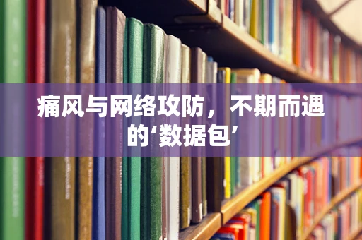 痛风与网络攻防，不期而遇的‘数据包’