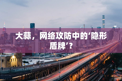 大蒜，网络攻防中的‘隐形盾牌’？