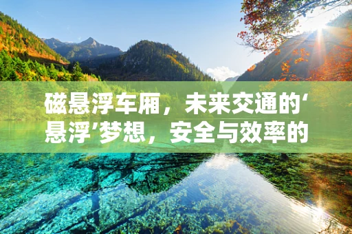 磁悬浮车厢，未来交通的‘悬浮’梦想，安全与效率的双重挑战？