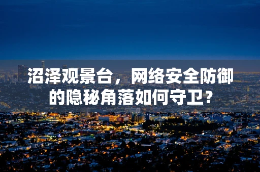 沼泽观景台，网络安全防御的隐秘角落如何守卫？