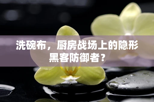 洗碗布，厨房战场上的隐形黑客防御者？