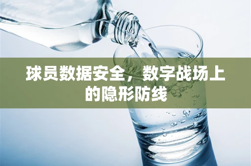球员数据安全，数字战场上的隐形防线