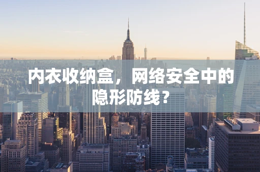 内衣收纳盒，网络安全中的隐形防线？