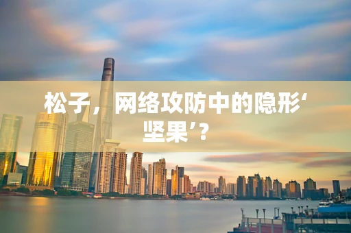 松子，网络攻防中的隐形‘坚果’？