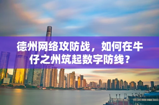 德州网络攻防战，如何在牛仔之州筑起数字防线？