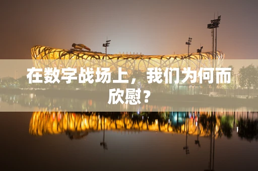 在数字战场上，我们为何而欣慰？