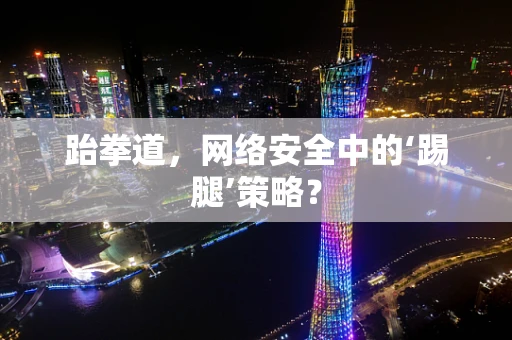 跆拳道，网络安全中的‘踢腿’策略？