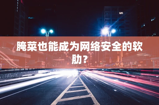 腌菜也能成为网络安全的软肋？