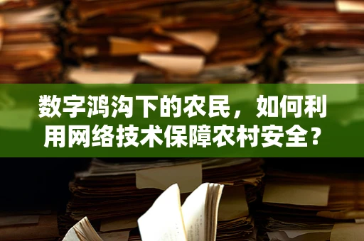 数字鸿沟下的农民，如何利用网络技术保障农村安全？