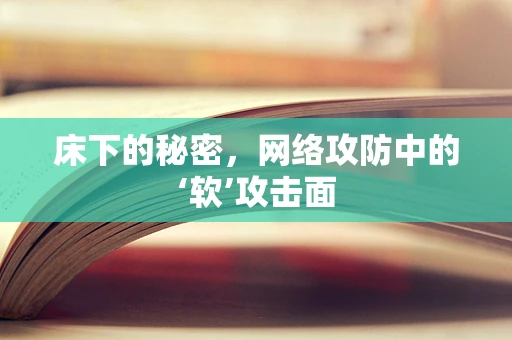 床下的秘密，网络攻防中的‘软’攻击面
