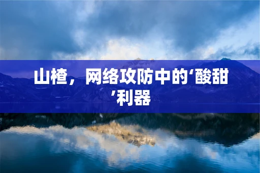 山楂，网络攻防中的‘酸甜’利器