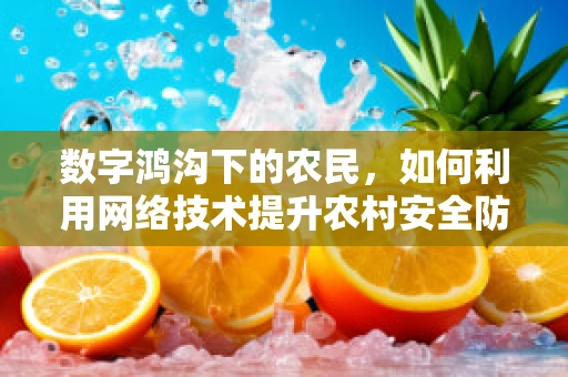 数字鸿沟下的农民，如何利用网络技术提升农村安全防护？