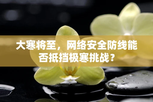 大寒将至，网络安全防线能否抵挡极寒挑战？