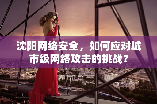 沈阳网络安全，如何应对城市级网络攻击的挑战？