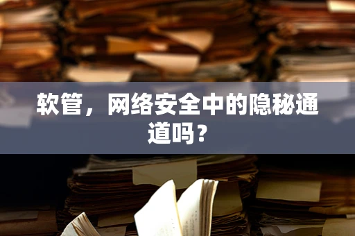 软管，网络安全中的隐秘通道吗？