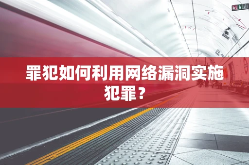 罪犯如何利用网络漏洞实施犯罪？
