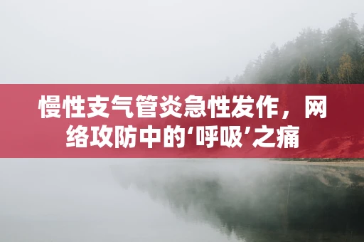 慢性支气管炎急性发作，网络攻防中的‘呼吸’之痛