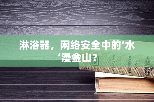 淋浴器，网络安全中的‘水’漫金山？
