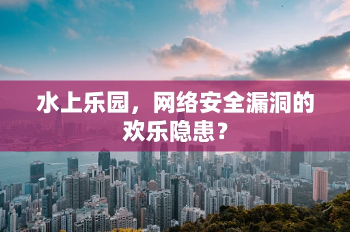 水上乐园，网络安全漏洞的欢乐隐患？
