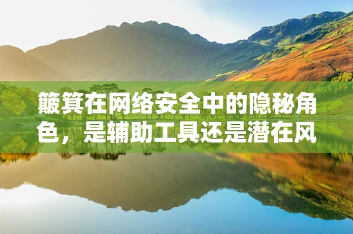 簸箕在网络安全中的隐秘角色，是辅助工具还是潜在风险？