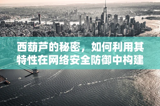 西葫芦的秘密，如何利用其特性在网络安全防御中构建更强的‘防火墙’？