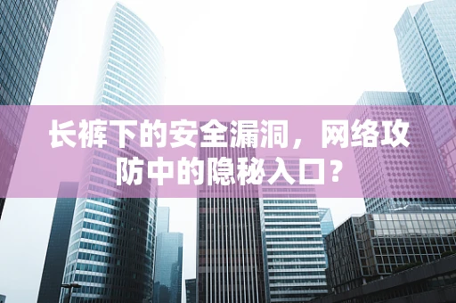 长裤下的安全漏洞，网络攻防中的隐秘入口？