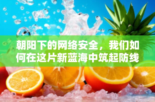 朝阳下的网络安全，我们如何在这片新蓝海中筑起防线？