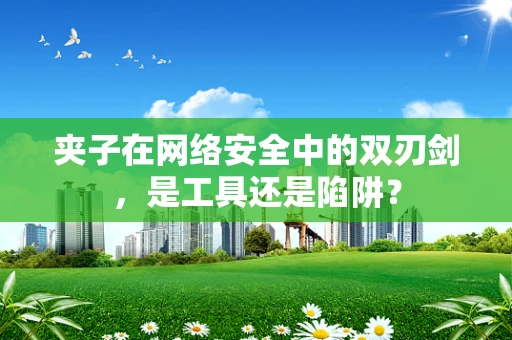 夹子在网络安全中的双刃剑，是工具还是陷阱？