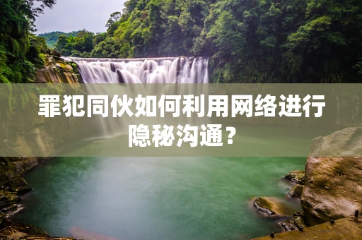 罪犯同伙如何利用网络进行隐秘沟通？