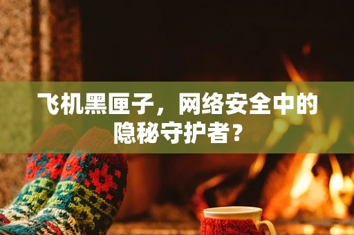飞机黑匣子，网络安全中的隐秘守护者？