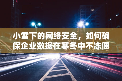 小雪下的网络安全，如何确保企业数据在寒冬中不冻僵？