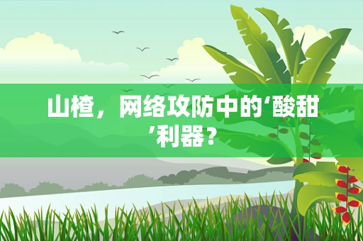 山楂，网络攻防中的‘酸甜’利器？