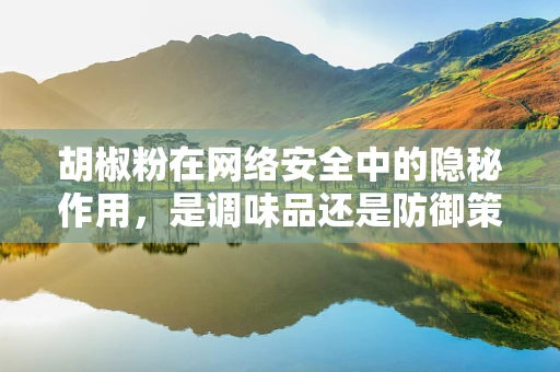 胡椒粉在网络安全中的隐秘作用，是调味品还是防御策略？