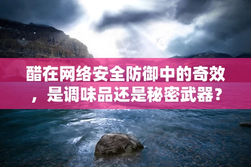 醋在网络安全防御中的奇效，是调味品还是秘密武器？