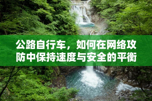 公路自行车，如何在网络攻防中保持速度与安全的平衡？