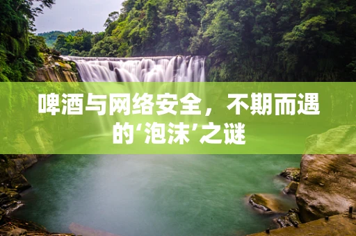 啤酒与网络安全，不期而遇的‘泡沫’之谜