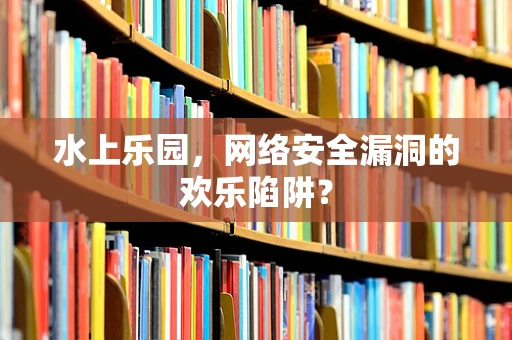 水上乐园，网络安全漏洞的欢乐陷阱？