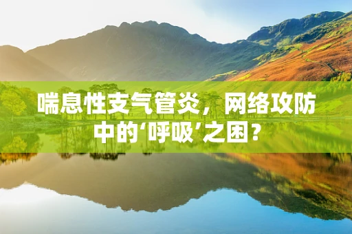 喘息性支气管炎，网络攻防中的‘呼吸’之困？