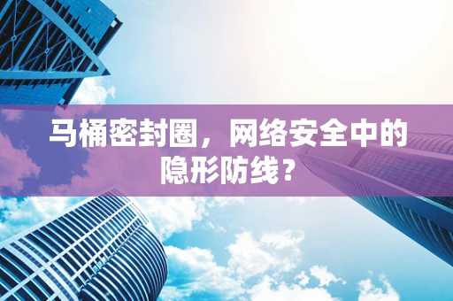 马桶密封圈，网络安全中的隐形防线？