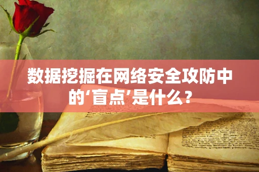 数据挖掘在网络安全攻防中的‘盲点’是什么？