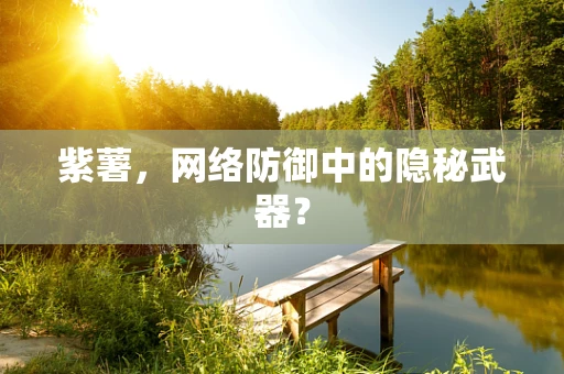 紫薯，网络防御中的隐秘武器？